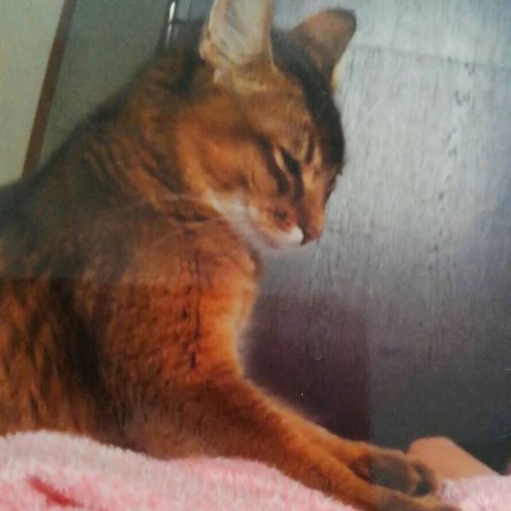 C6fa40af 0c75 485c 9e99 79428c815c58 1569633597129