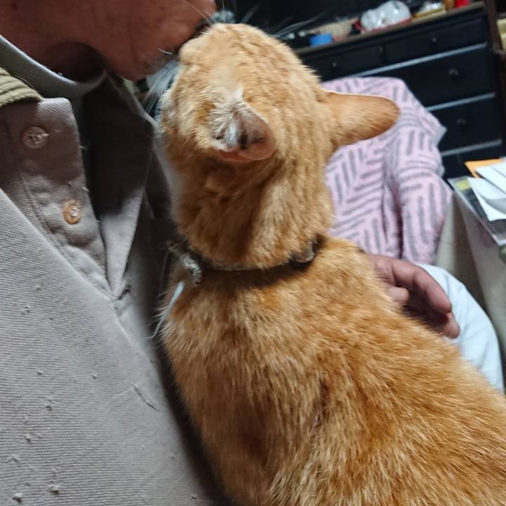 C6fa4a31 236f 4d57 9003 16919b4627ed 1589920411367