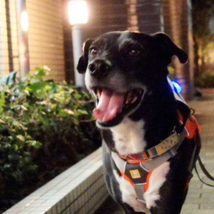 C6fa6149 7731 408d 913c 03fa6be410f8 1729767507018