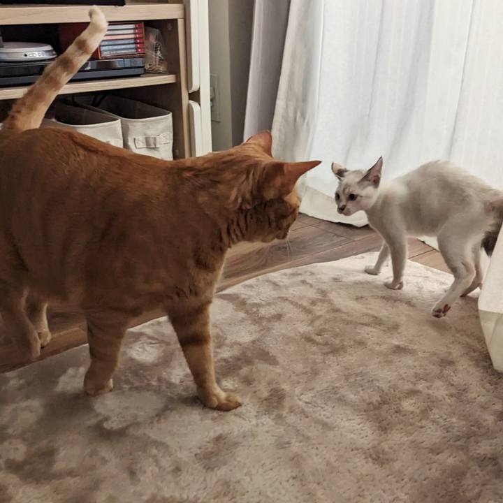 C6fa7918 2e37 4d1e a17d 42c5e2d1d5f0 1689725167362