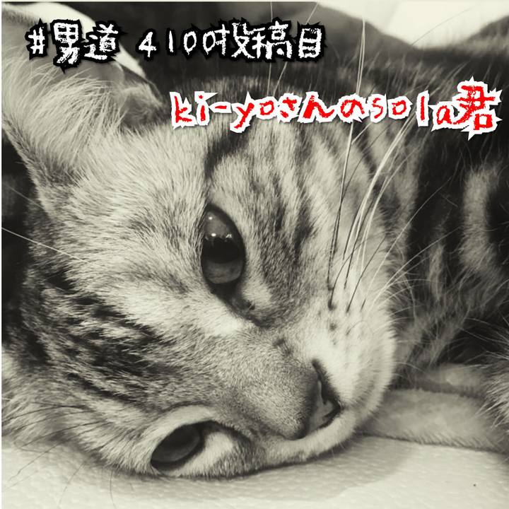 C6fab373 bac9 41bf 8c36 13b98004d264 1574829708176