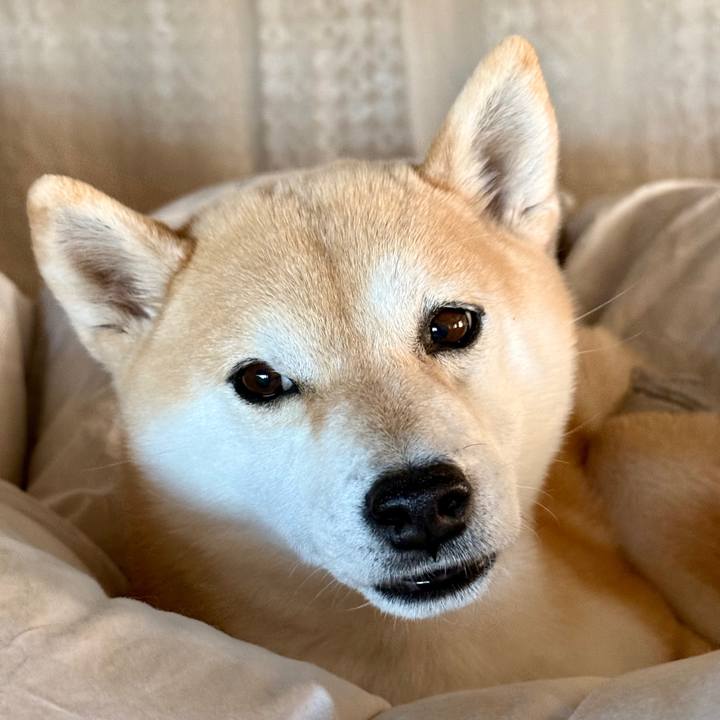 C6fac79d b70e 48bc 85a8 cff74c450a11 1772599810287