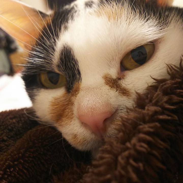 C6fae11d 3460 4a8a 8a95 47b0f9488d10 1554820666286