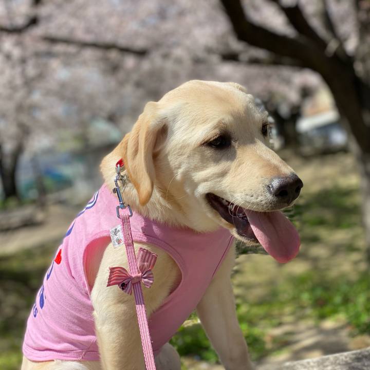 C6fb6245 b7fc 4223 8685 48e557973032 1616975268556