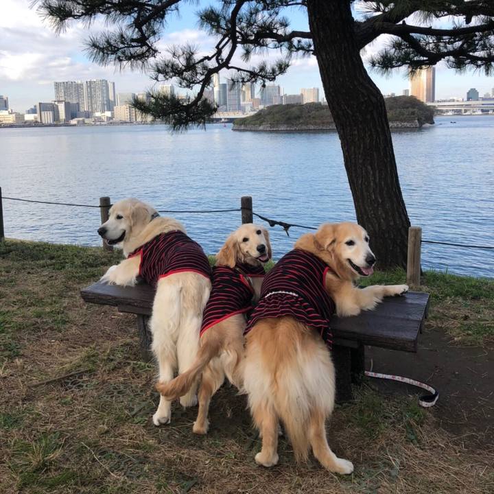 C6fb63c0 168c 4cb8 adf9 a0c4631742c5 1575940834229