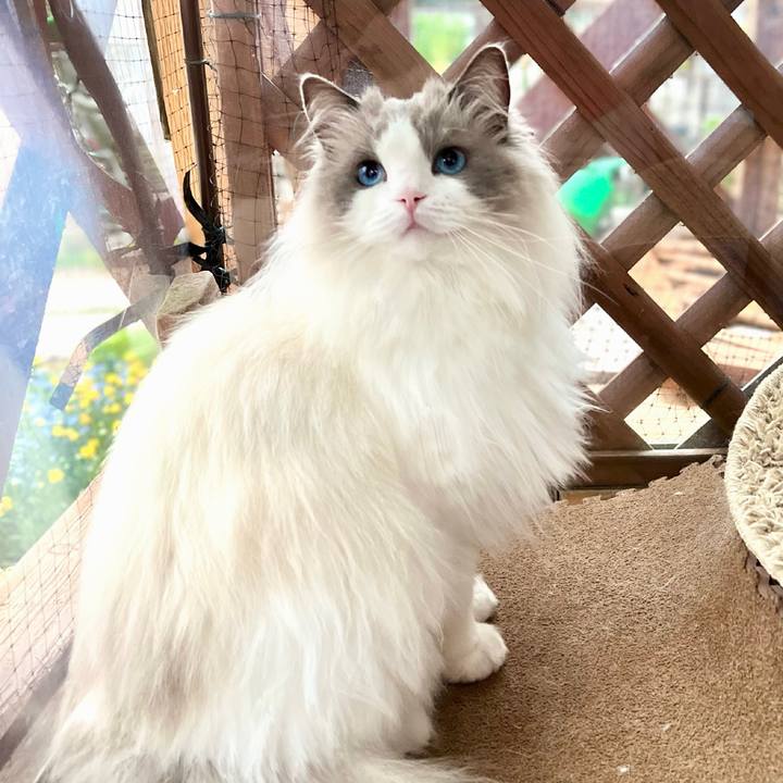 C6fb6875 5817 44e6 8b13 21ece9de659e 1651126853217