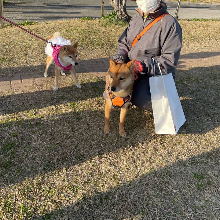 C6fb733c 5f95 421c a6c7 f1ac98a69e5e 1677835176494