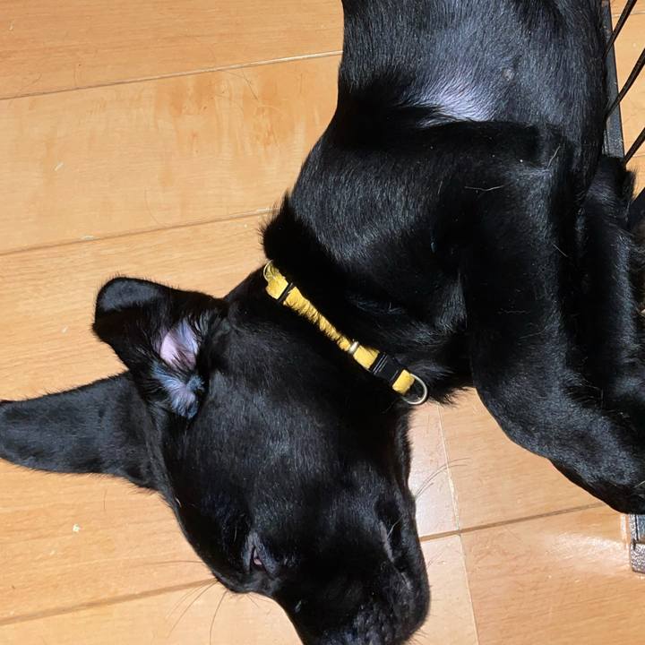 C6fb8467 f2ea 47e0 a3f2 e2901695a1c4 1632089658227