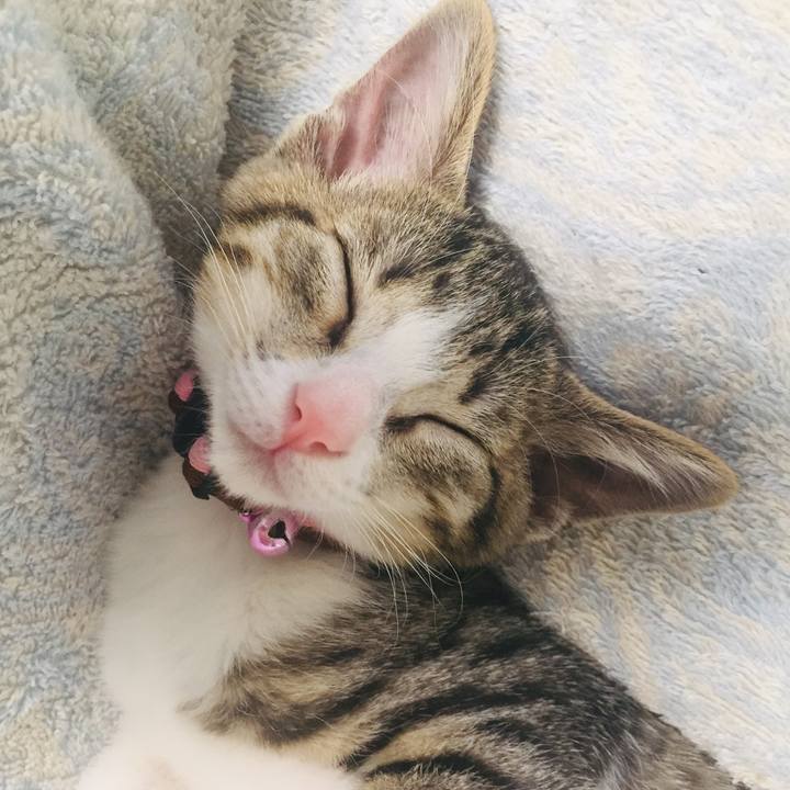 C6fbce35 b946 406c b714 d099318ab948 1653881814970