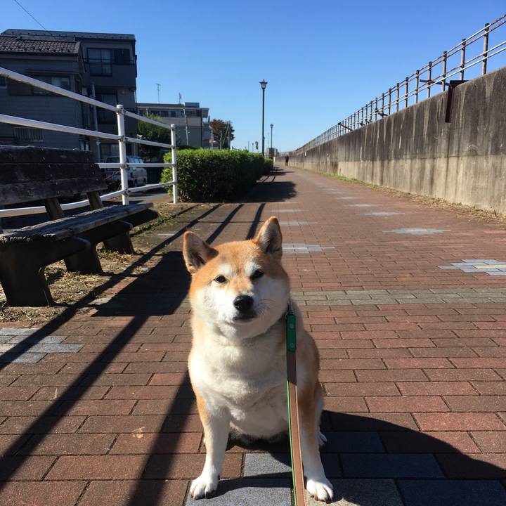 C6fbfc19 8799 4f6c 829a ddd4680bf1c0 1604457166136