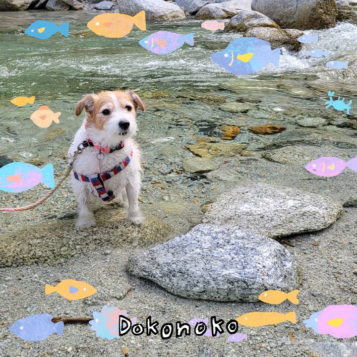 C6fbfc9e 5928 44b5 aa1a 13563489fe54 1755164595038