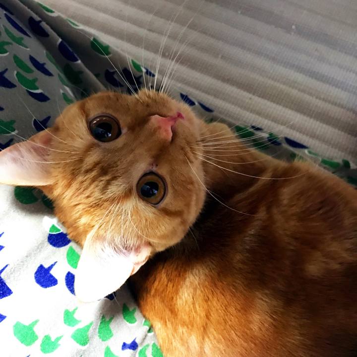 C6fc0503 0f0d 43b1 a808 c38e193f9347 1511852664739