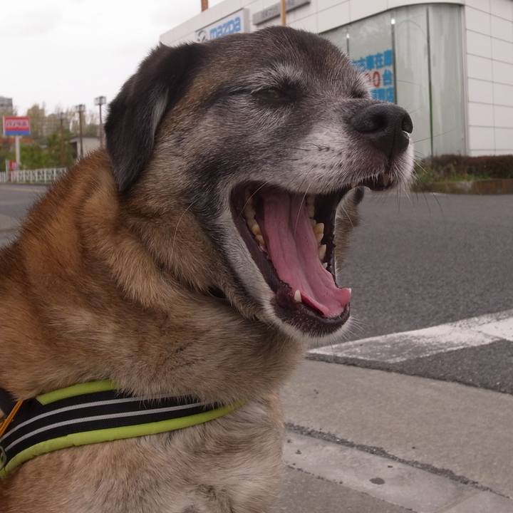 C6fc42f8 57fb 4c83 9405 e91bcde0a49b 1585478921269