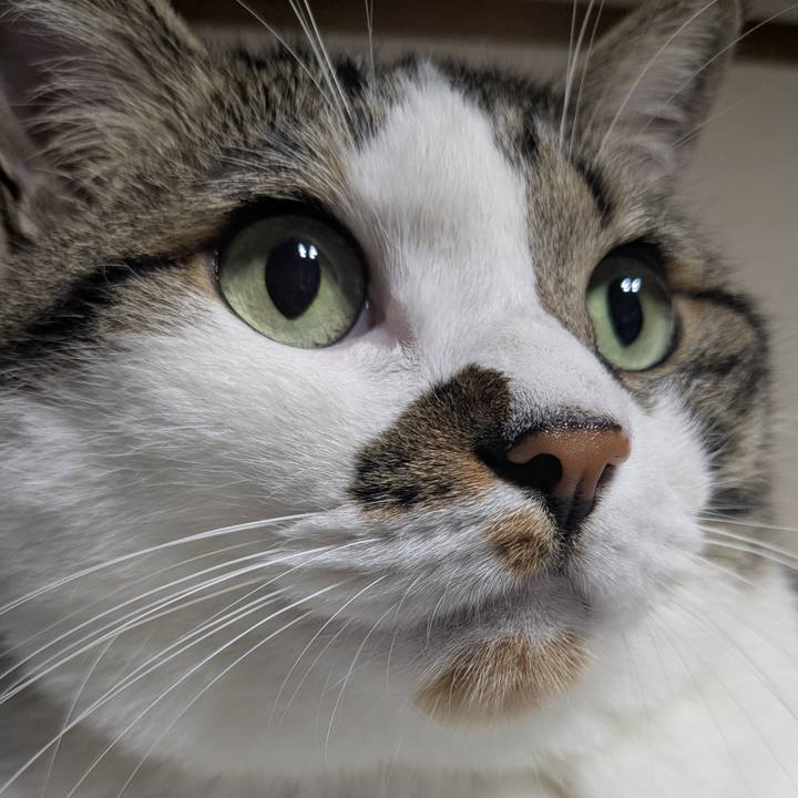 C6fcce13 e1a6 4f7b 8a28 7e712f0011ff 1754091886607