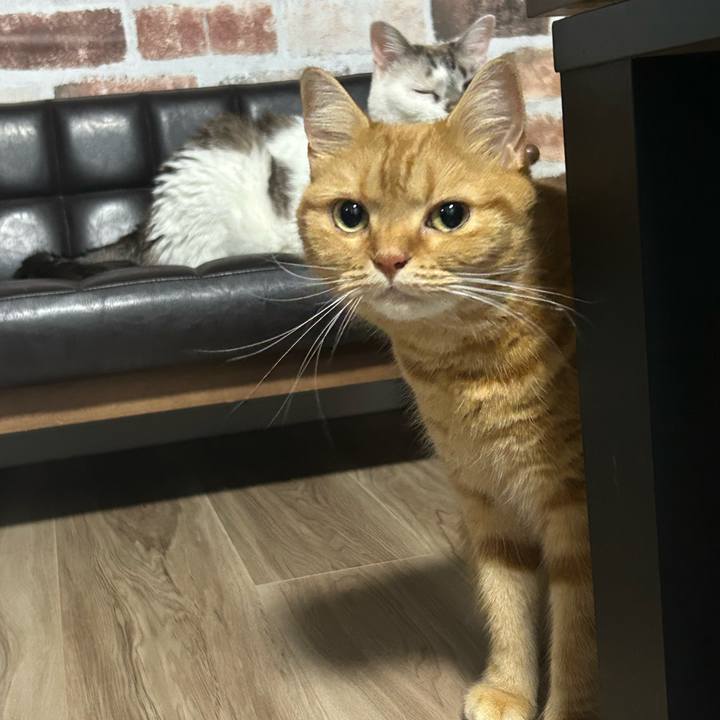 C6fcec91 b4ca 4d79 bb83 0270b41f96d5 1724938551561