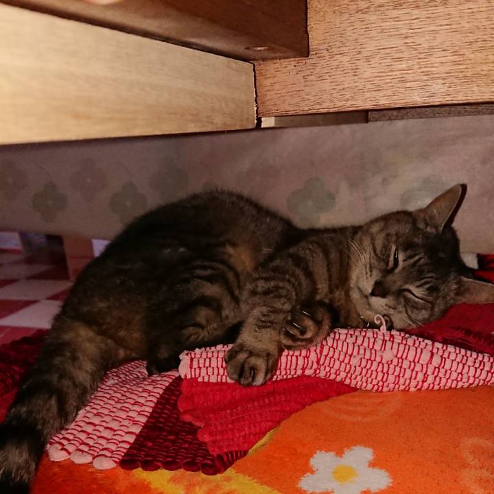 C6fcf68c 891a 4167 9cea ba12f89f2946 1552715444554