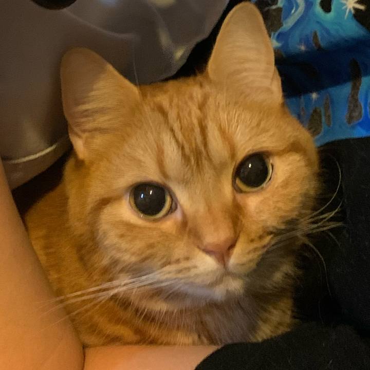 C6fd44db 80de 41bd 82bc b79abe1ea897 1612928872605