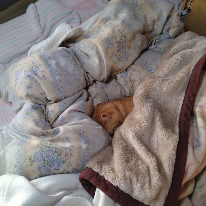 C6fd59b5 d56a 4a4e a947 e1d47a8c16ae 1713218833433