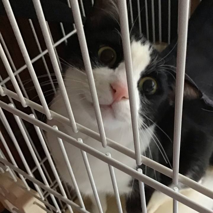 C6fd72fe 3484 4ea0 bbe8 bf91c8603b81 1745048927636