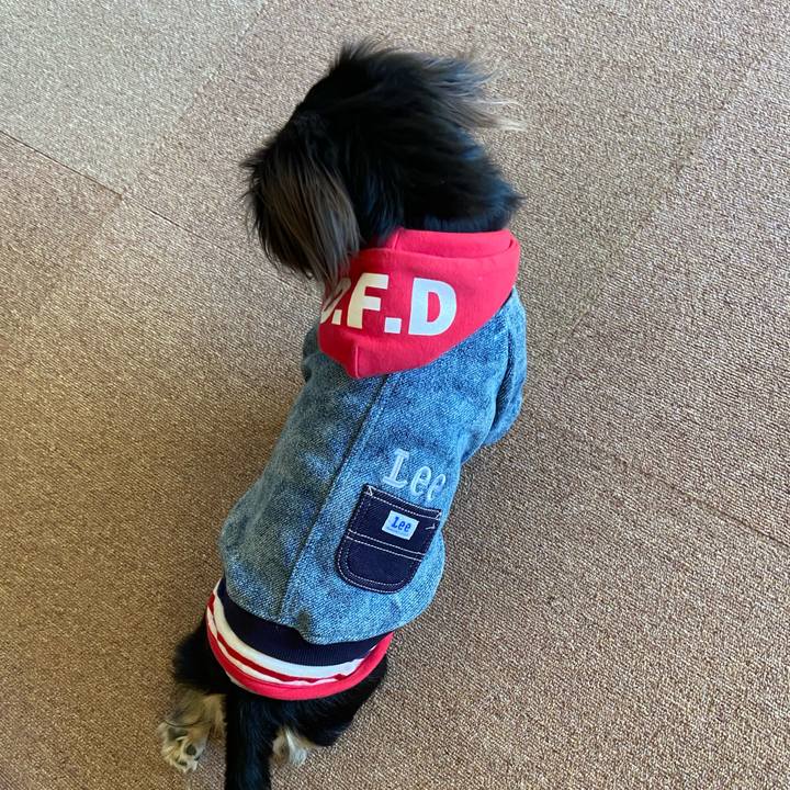 C6fdb3cd cc27 47e4 9abf ece225136fa9 1704434761772