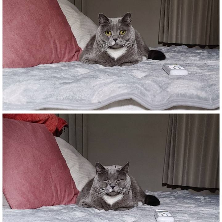 C6fde1db 4b96 4227 b34b 770f704af71b 1644498816492