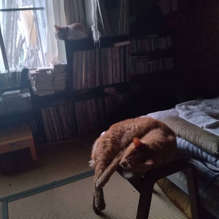 C6fded95 4036 4a9c 9f2f af3633ae28fc 1750628494894