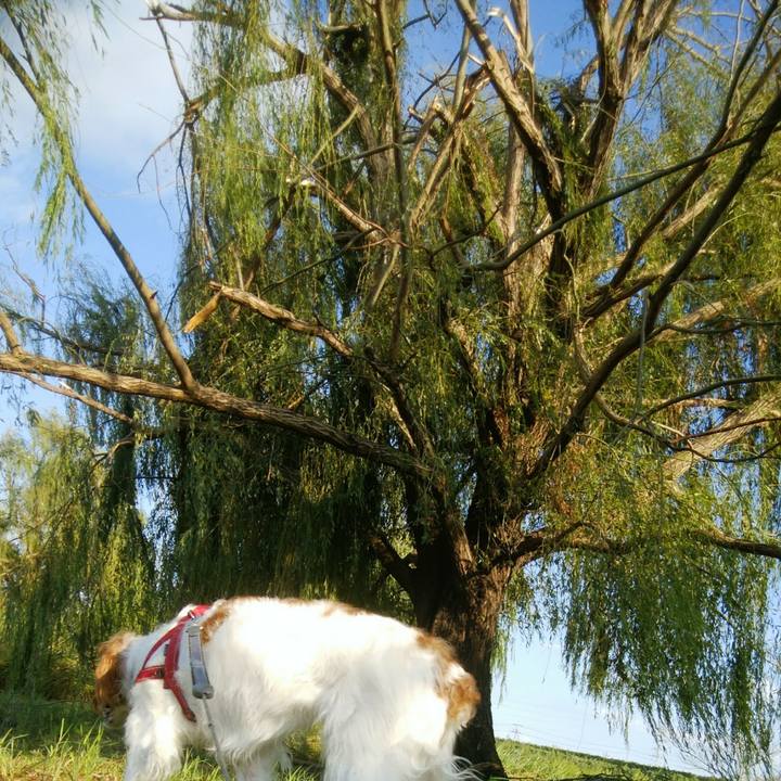 C6fe3738 425f 4769 b063 4c51b3a8eea7 1536107648831