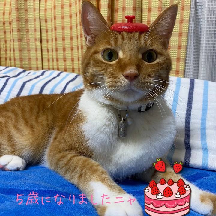 C6fe424e 3d8a 4ab4 a11e e14d21734bc5 1631269695194