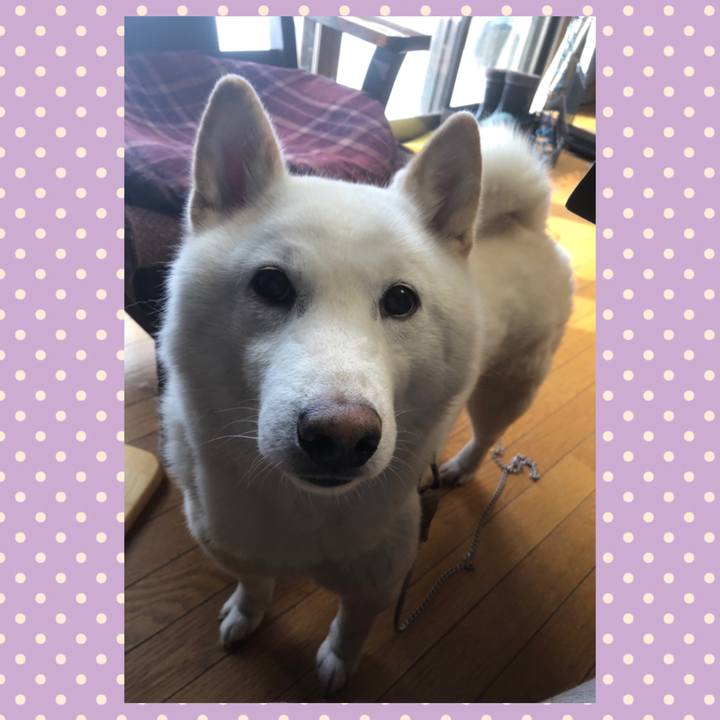 C6fe4f0b dd6c 4cf0 8bd2 cc1e5d3e3aaf 1581211464530