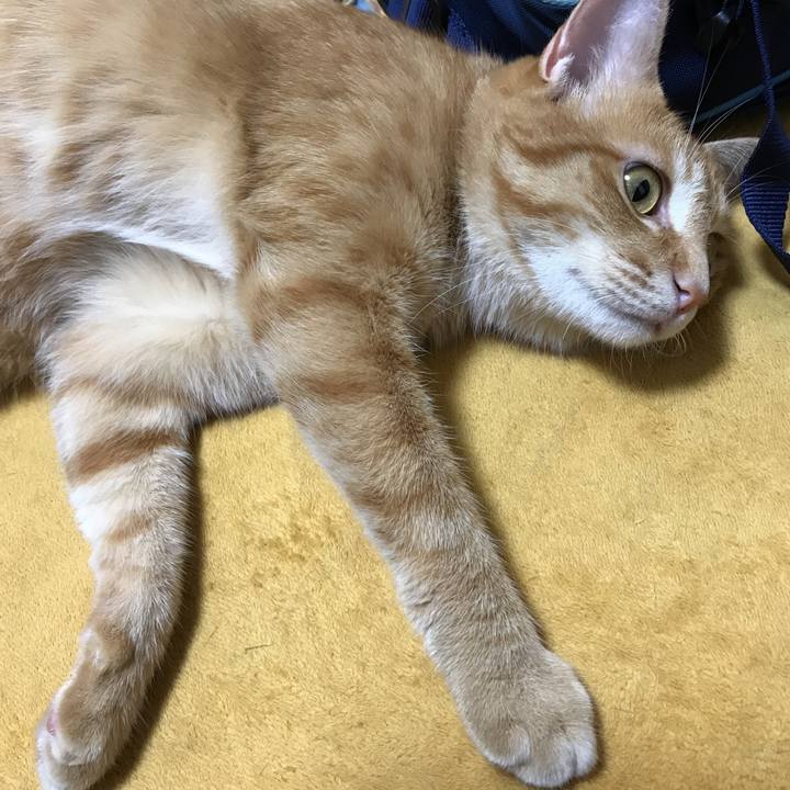 C6fe5571 70a6 4d55 8d9b 9bb0575215d1 1536824487078