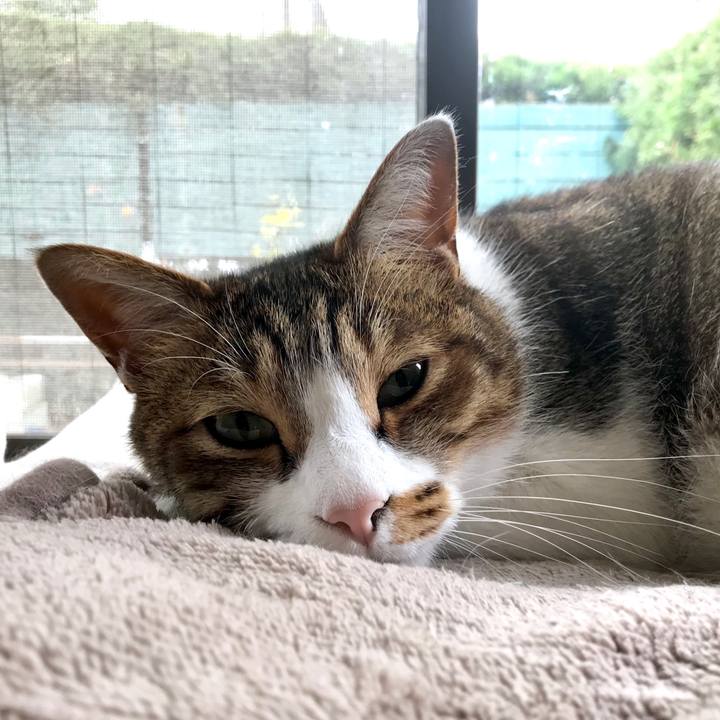 C6fe5d85 2024 4d16 8d66 294bf5a6d40e 1519115437324