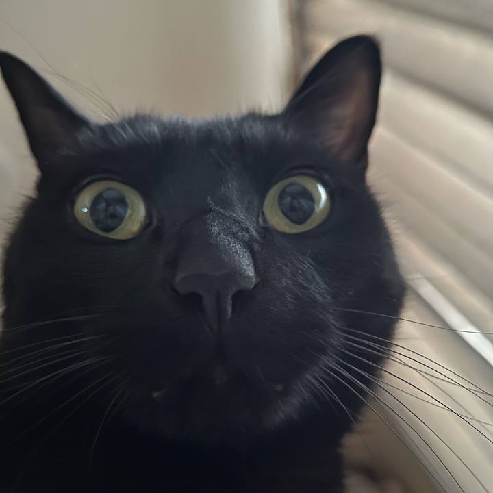 C6fe8474 e845 4096 bac3 bf5ca4eabd14 1672967163402