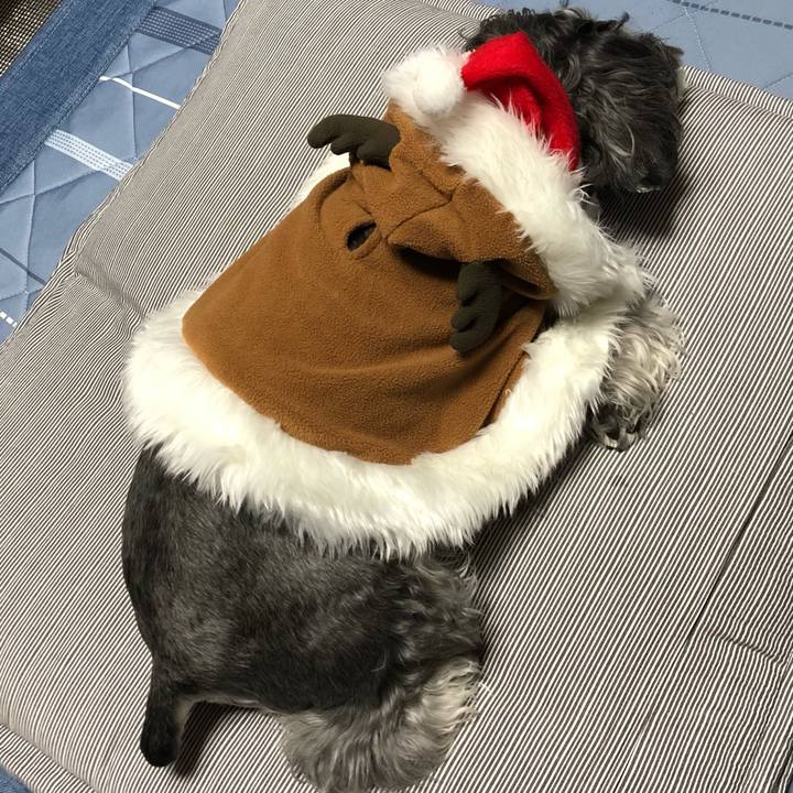 C6fe8a4d bfee 4213 aae0 f504ad859877 1703426674608