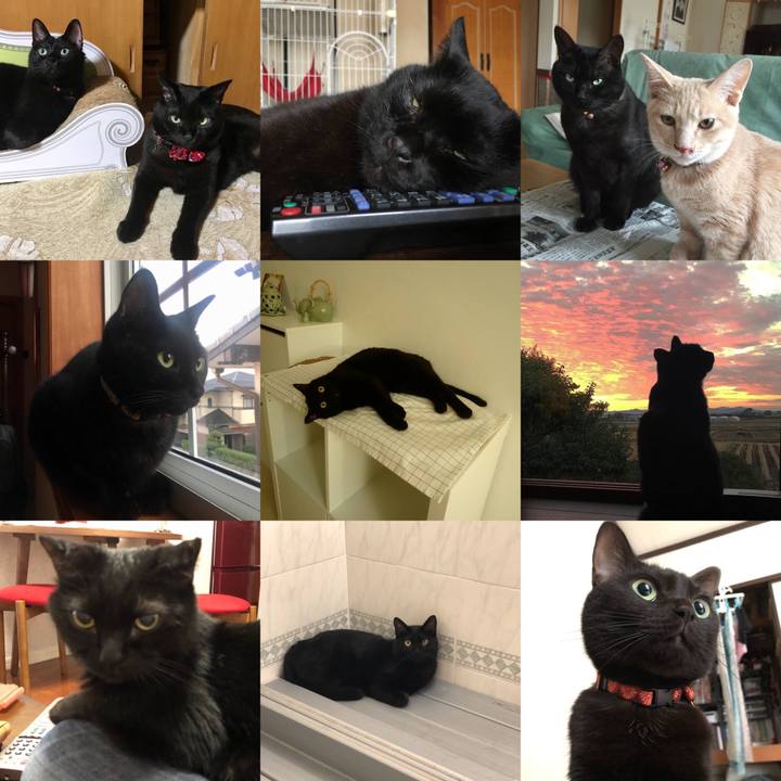 C6fe97a0 f7f9 4d95 9633 4732784519ec 1543678269801