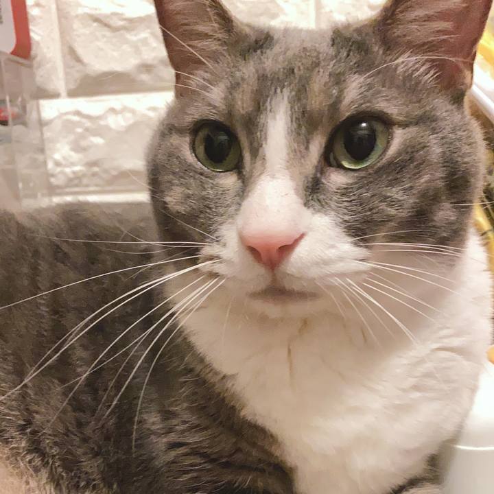 C6febece eeab 4ab7 a64d 2d050f41d9cb 1589198281356