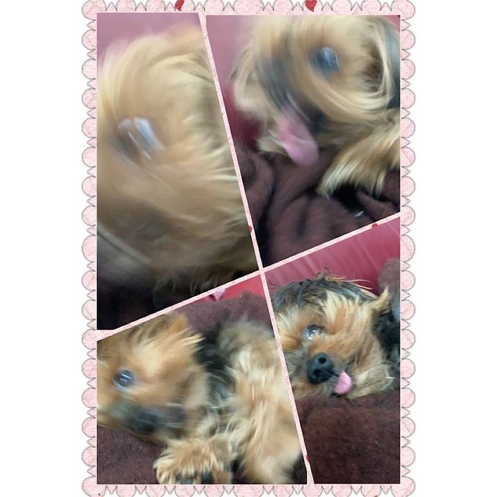 C6fecd88 ecb6 49fe 9ec1 8749f842eedb 1611875099732