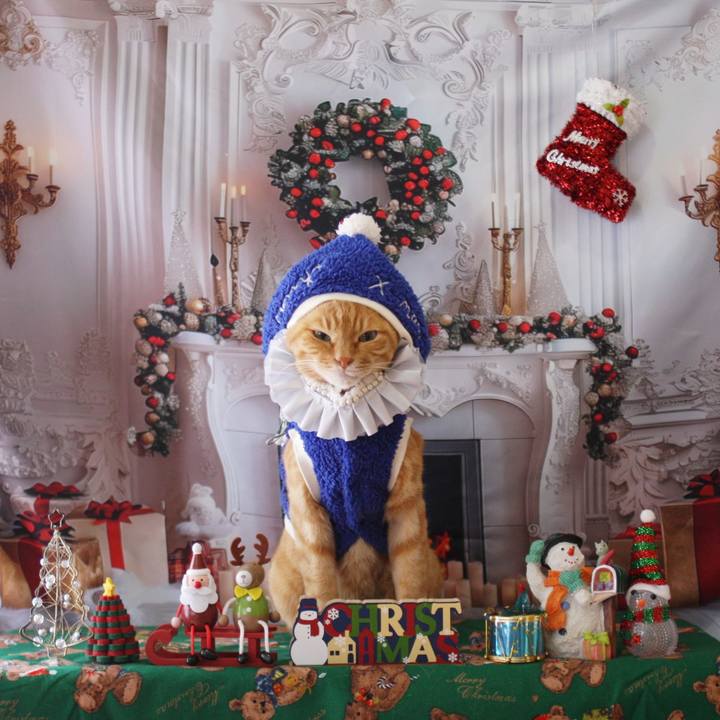 C6feec2f fe3c 4d06 8b62 036221f3d98b 1765413354385