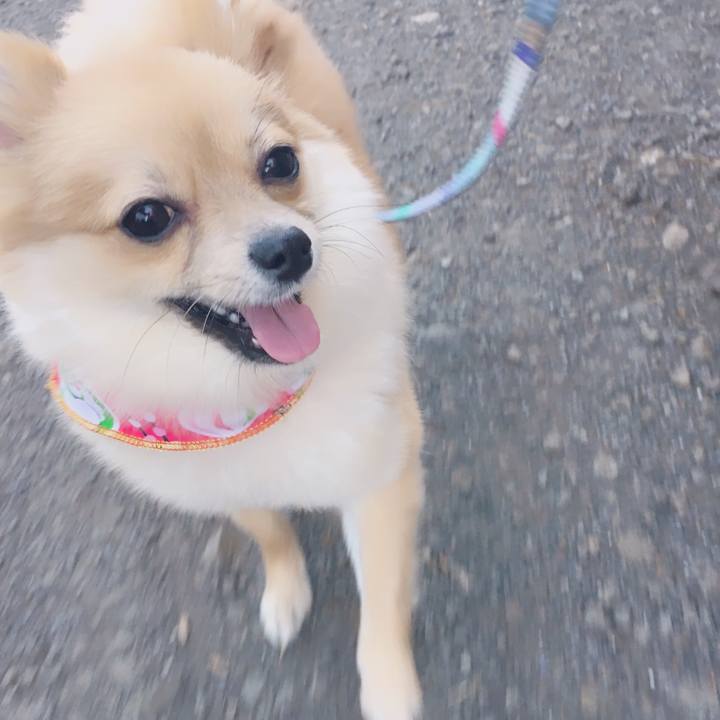 C6ff121c e4de 43eb 881e 117acdab150a 1514895524487