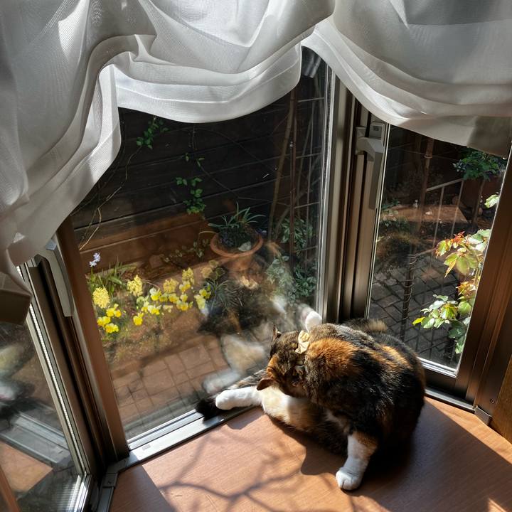 C6ff2dd7 d59b 4655 9db7 a0e6c3b88bae 1774183492775