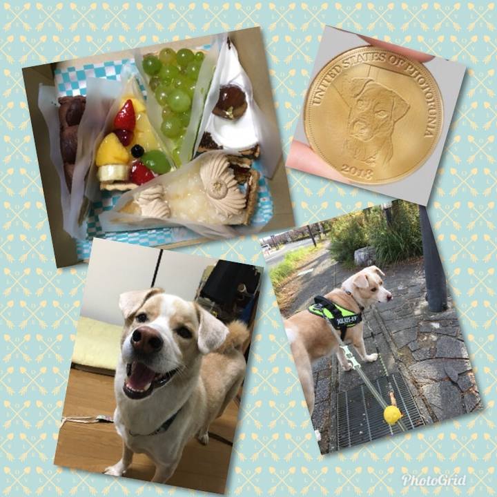 C6ff39d6 2752 43cb 82aa 6d9fc8b83680 1539678808486