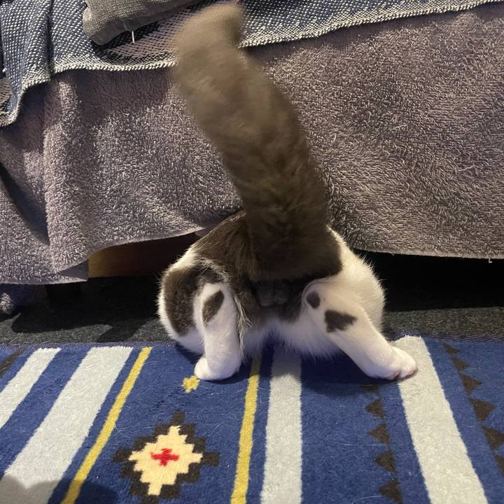 C6ffe54e 9f6b 4412 9061 0548a6baf939 1636540852990