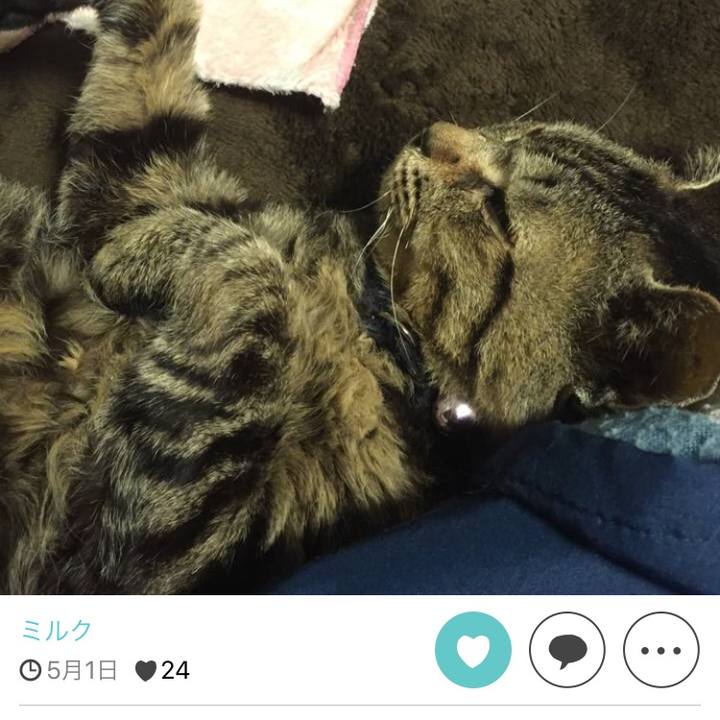 C6fffa74 3d90 4212 8256 34d269c4e6a6 1511690213144