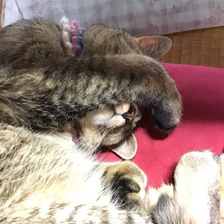 C70002e4 1a89 4645 ba15 2d952d565661 1625366870980