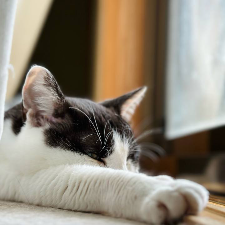 C7005316 7a1c 4ec0 bc8e 78a416a5c9bb 1689298655539