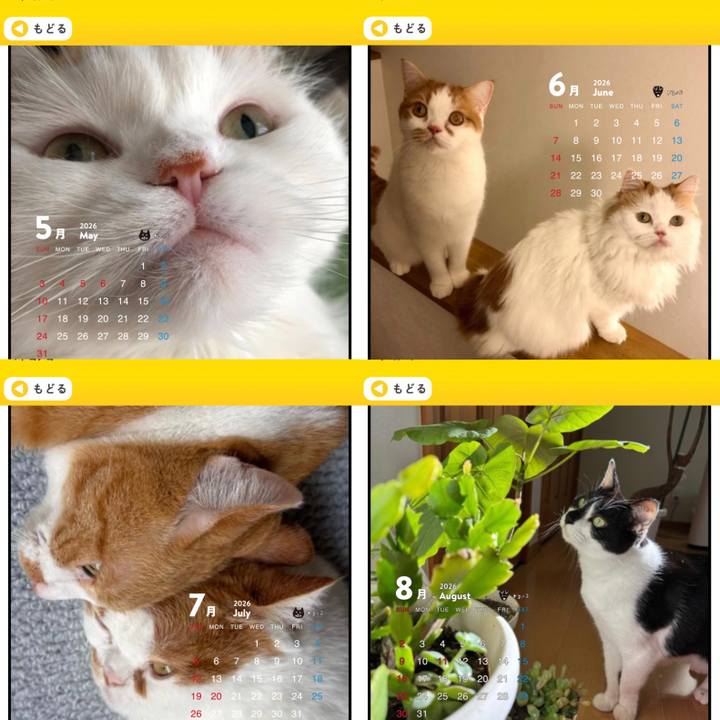 C700a1de a7c6 4f19 8d70 f41425d98580 1763934368539