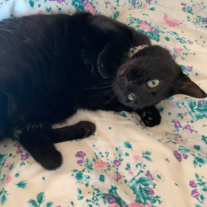 C700a96a e797 4805 988f 0753e459fe97 1572234748193