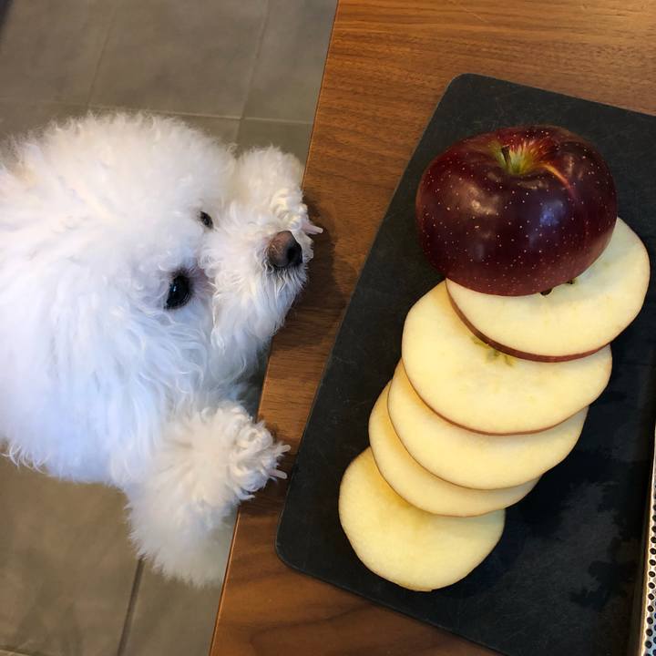 C700b4f7 3118 44e0 a29e 2b4bd68abb4b 1512735919288