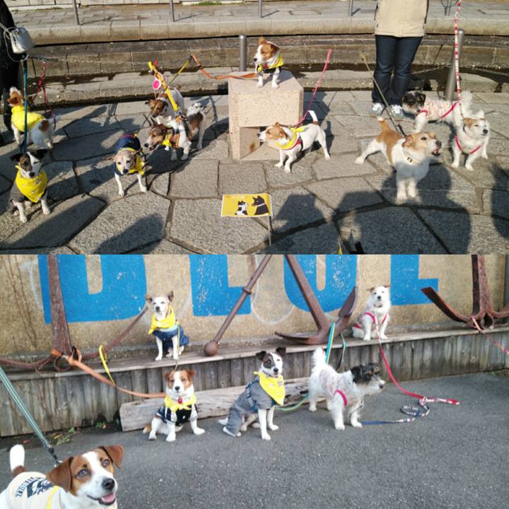 C700dae4 3615 45ae 8ac1 8e5f1a3b4fca 1516534898440