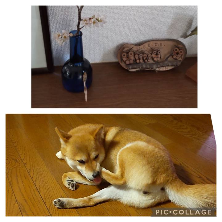 C700e4ca fdb2 4ed4 adb9 01a8f82d9145 1677995696477