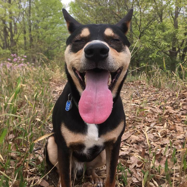 C7010308 6c10 44dd bba4 4155fed0e6b1 1555806026895